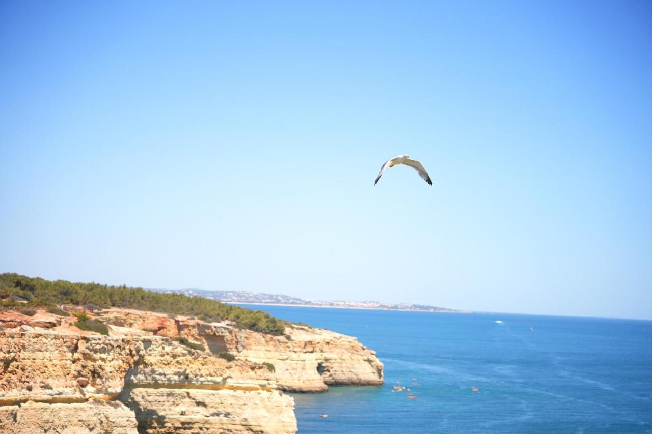 הוילה לגואה Casa Benagil Mar מראה חיצוני תמונה